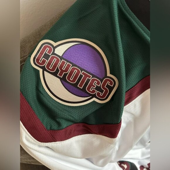 Fanatics Authentic Arizona Coyotes Kachina Breakaway Hockey Jersey - Picture 5 of 7